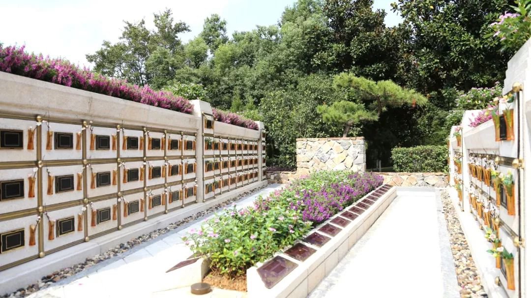 在合肥大蜀山文化陵园，与生命温柔对话