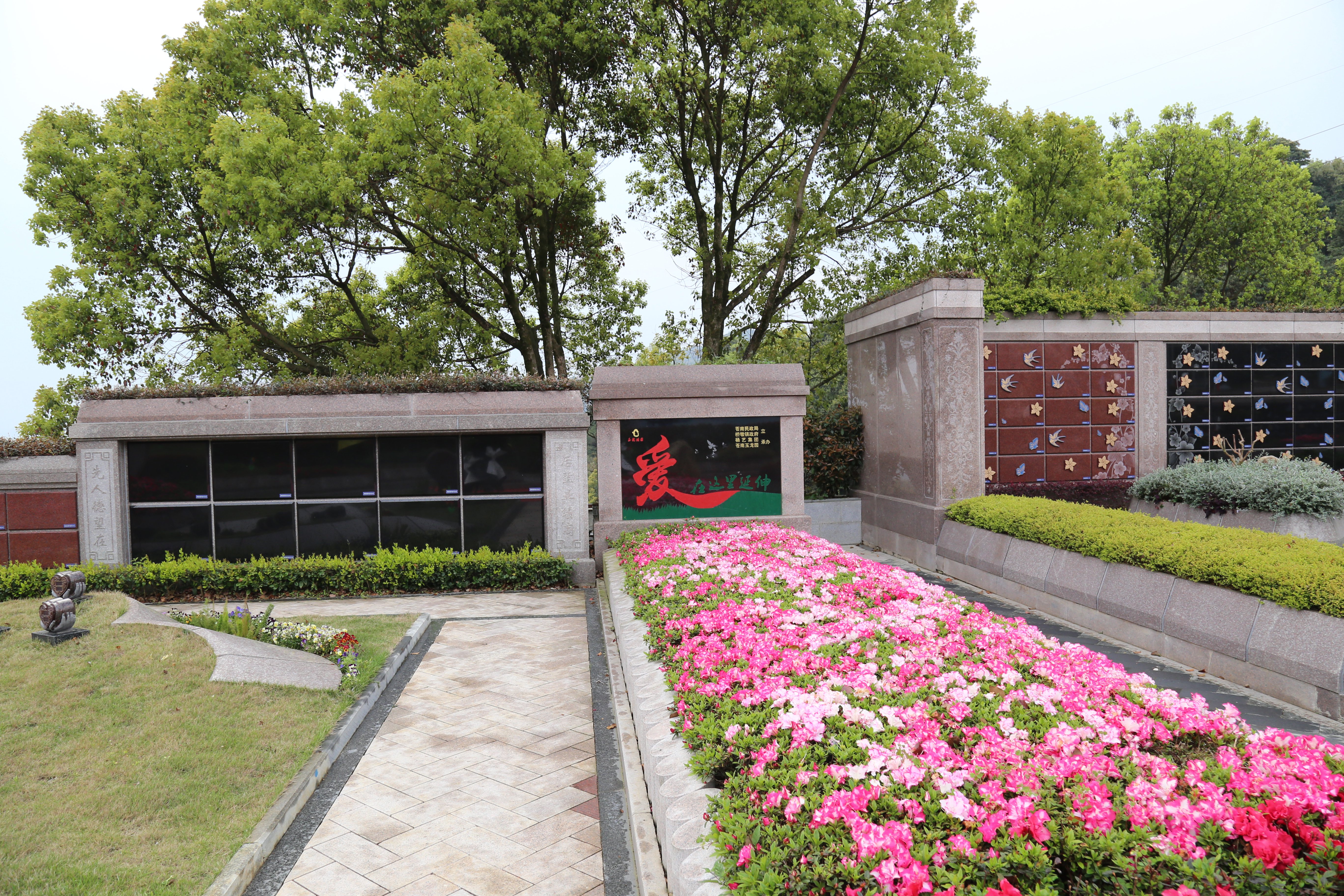 带你了解花葬：环保与浪漫并存的绿色殡葬方式